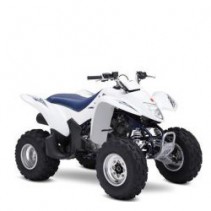Suzuki Quadsport 250